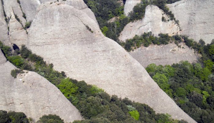 El que vist per davant sembla sever, vist de costat pren la seva verdadera dimensió